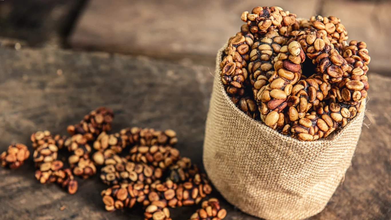 Kopi Luwak dan Kesehatan yang Terkandung di Dalamnya