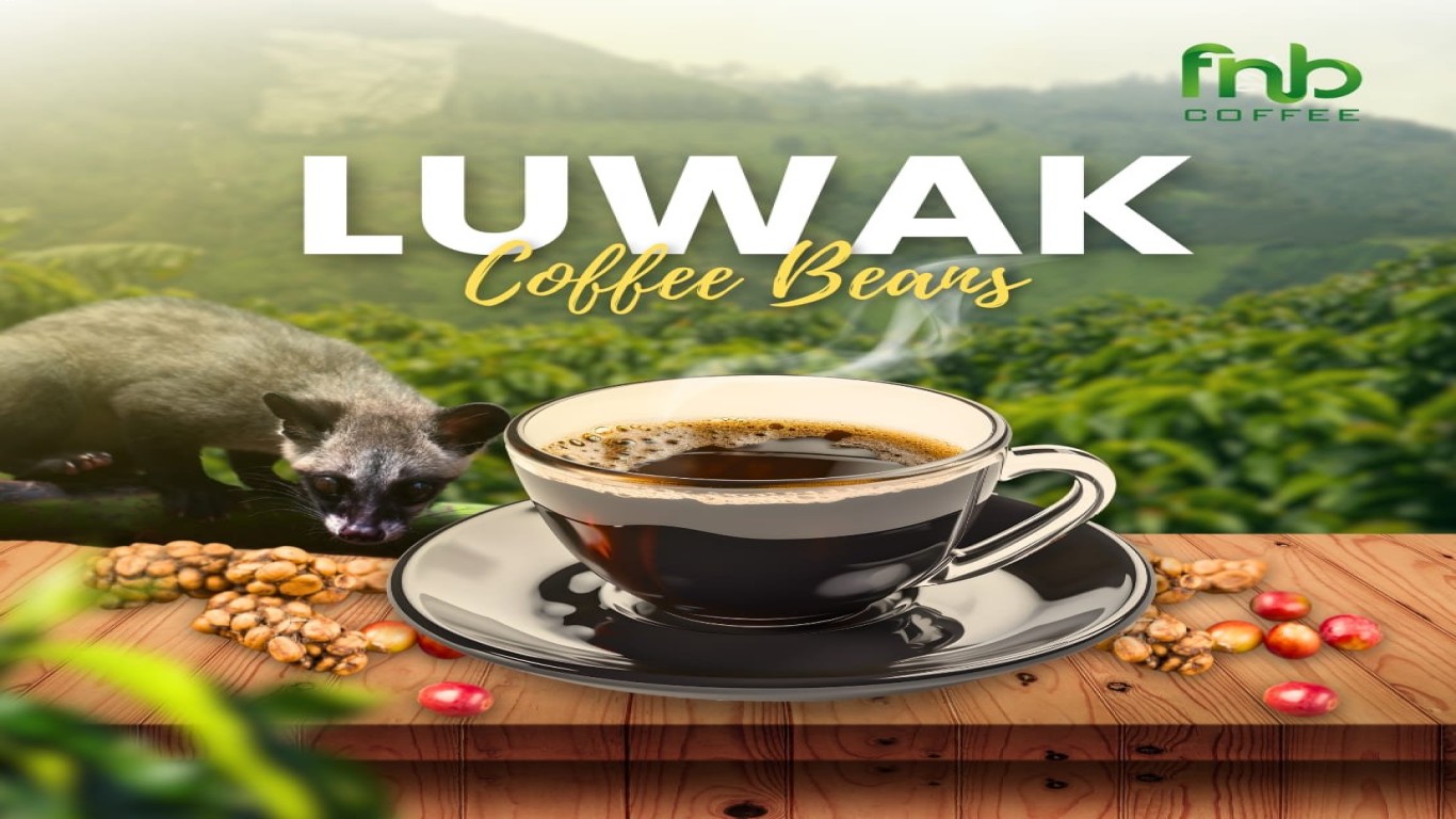 Keistimewaan Kopi Luwak yang Dapat Membuat Ketagihan
