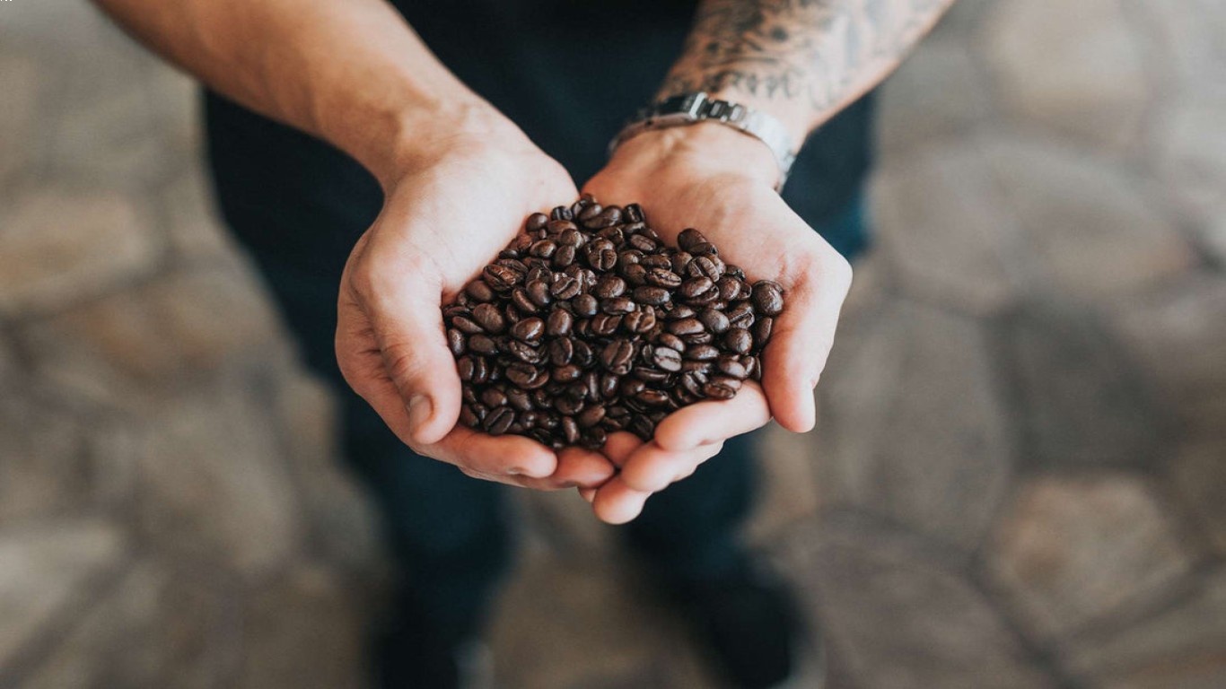 Tips Memilih kopi robusta Terbaik