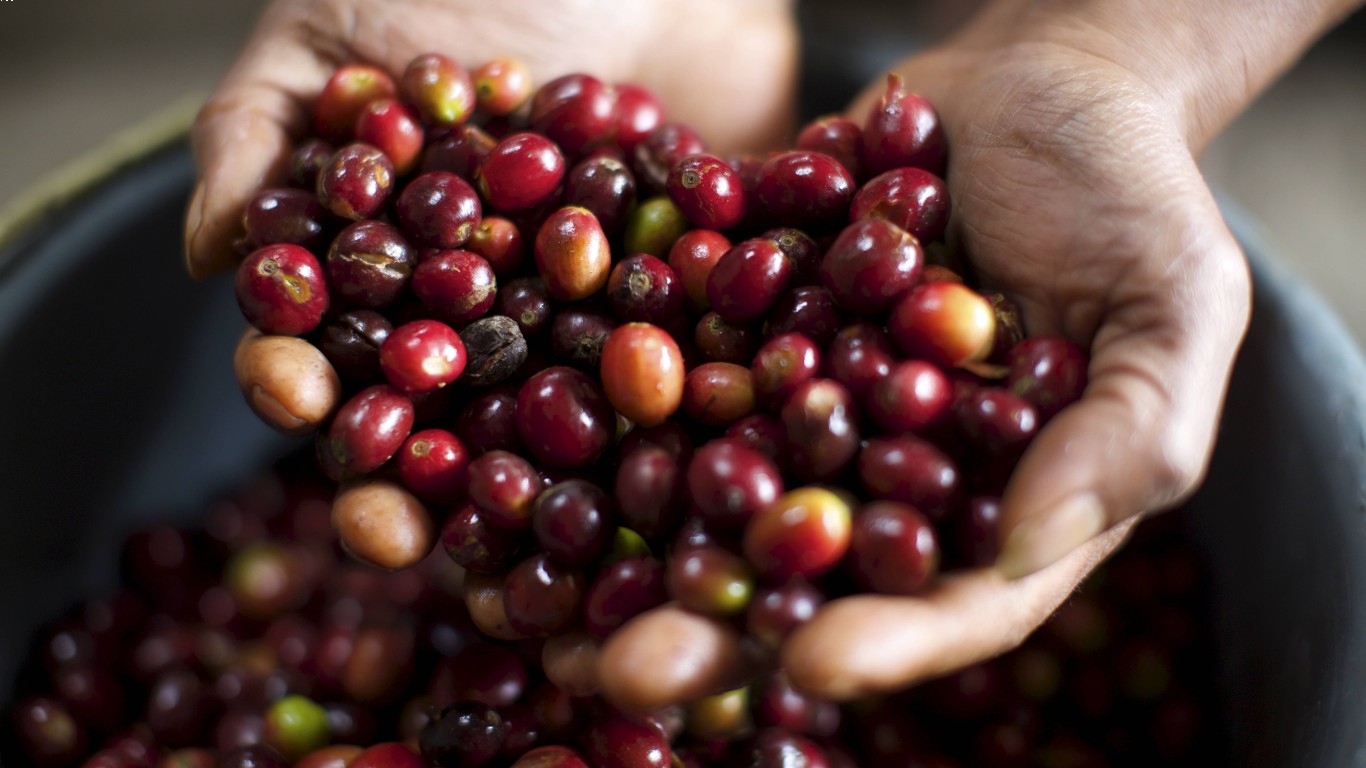 kopi masa depan dan adaptasi terhadap perubahan iklim