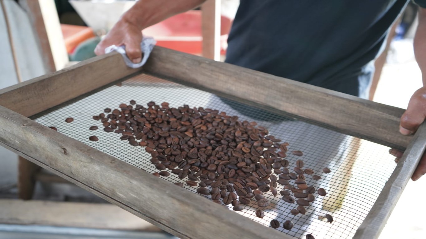 dampak pendampingan terhadap kualitas kopi petani