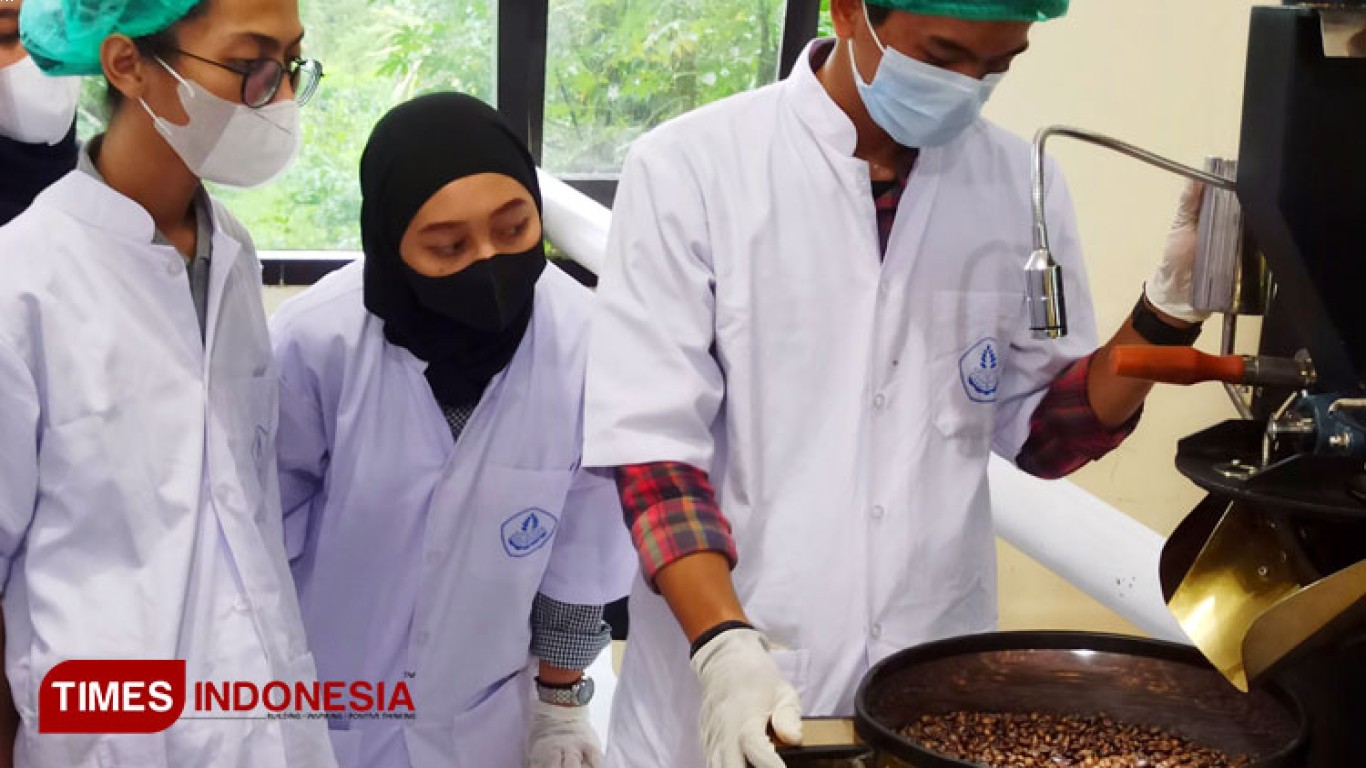 pengembangan klaster agribisnis kopi di Kabupaten Jember
