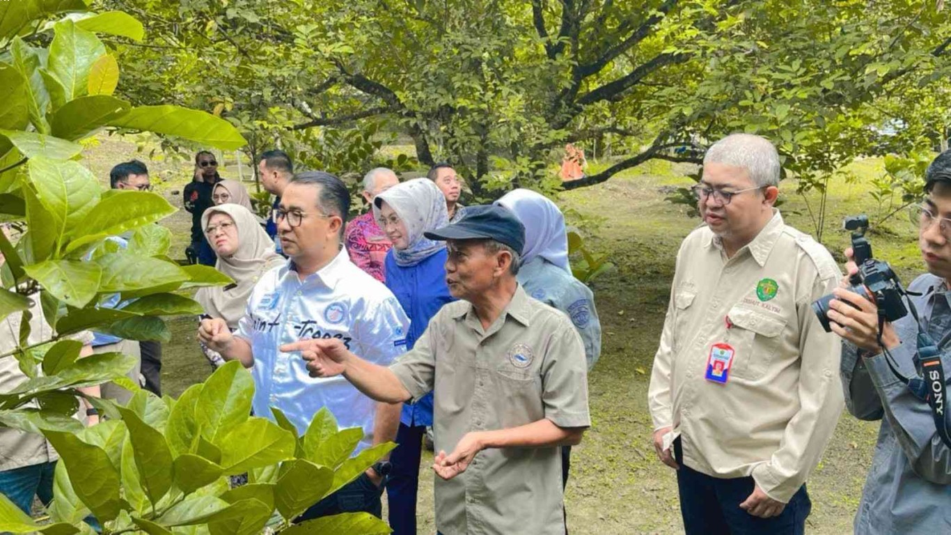 peran kopi masa depan dalam industri pariwisata dan pengalaman wisata