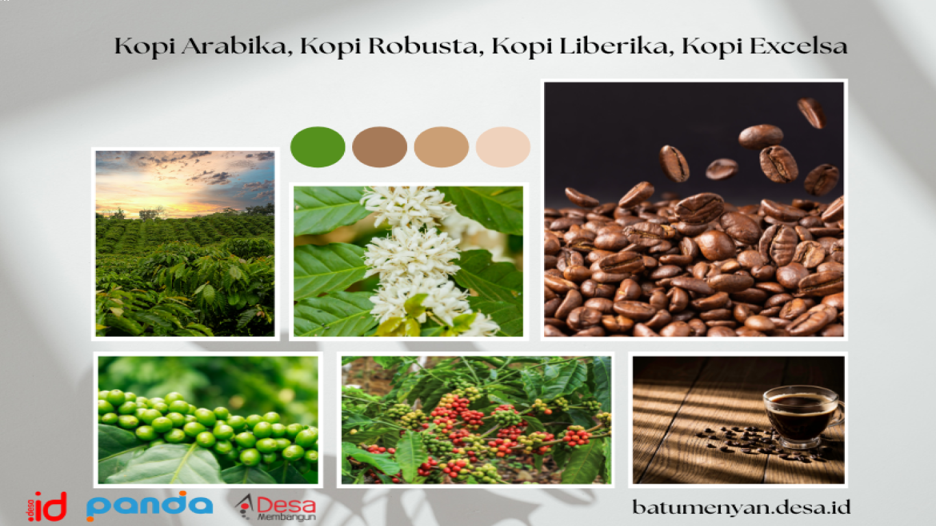 Kopi dan Pengaruhnya terhadap Budaya Lokal
