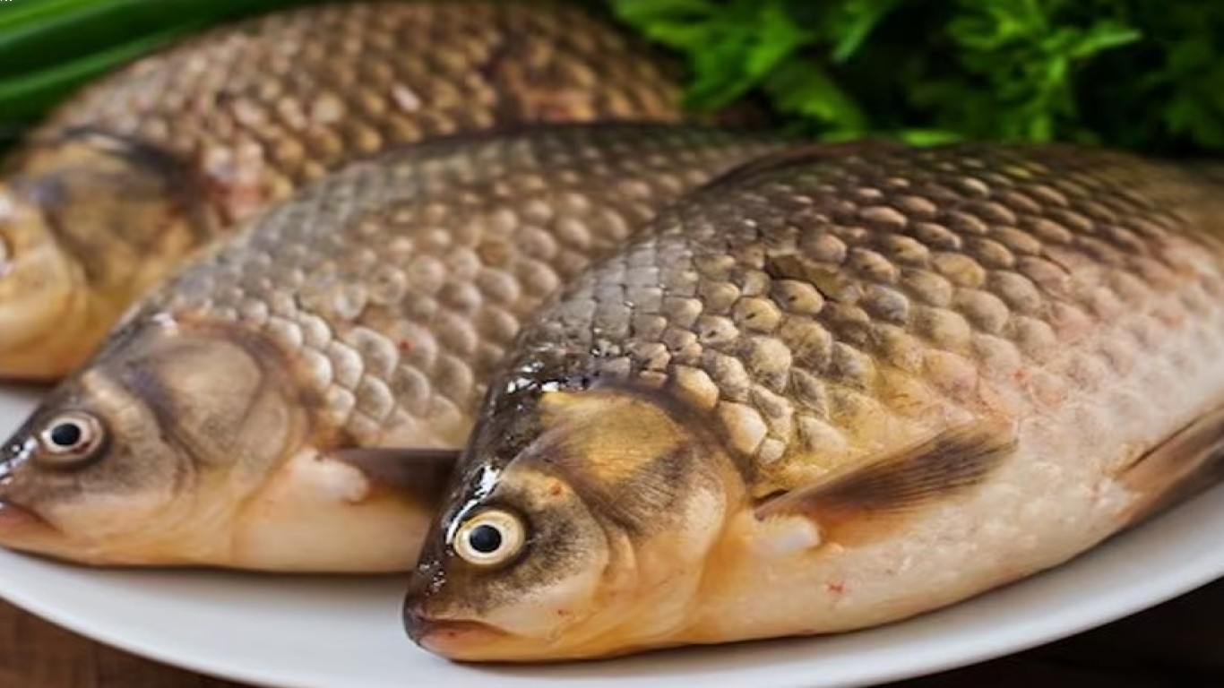ikan berlemak sebagai sumber makanan sehat untuk kulit