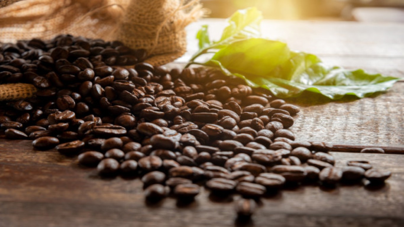 budidaya kopi excelsa di wonosalam peluang usaha menjanjikan