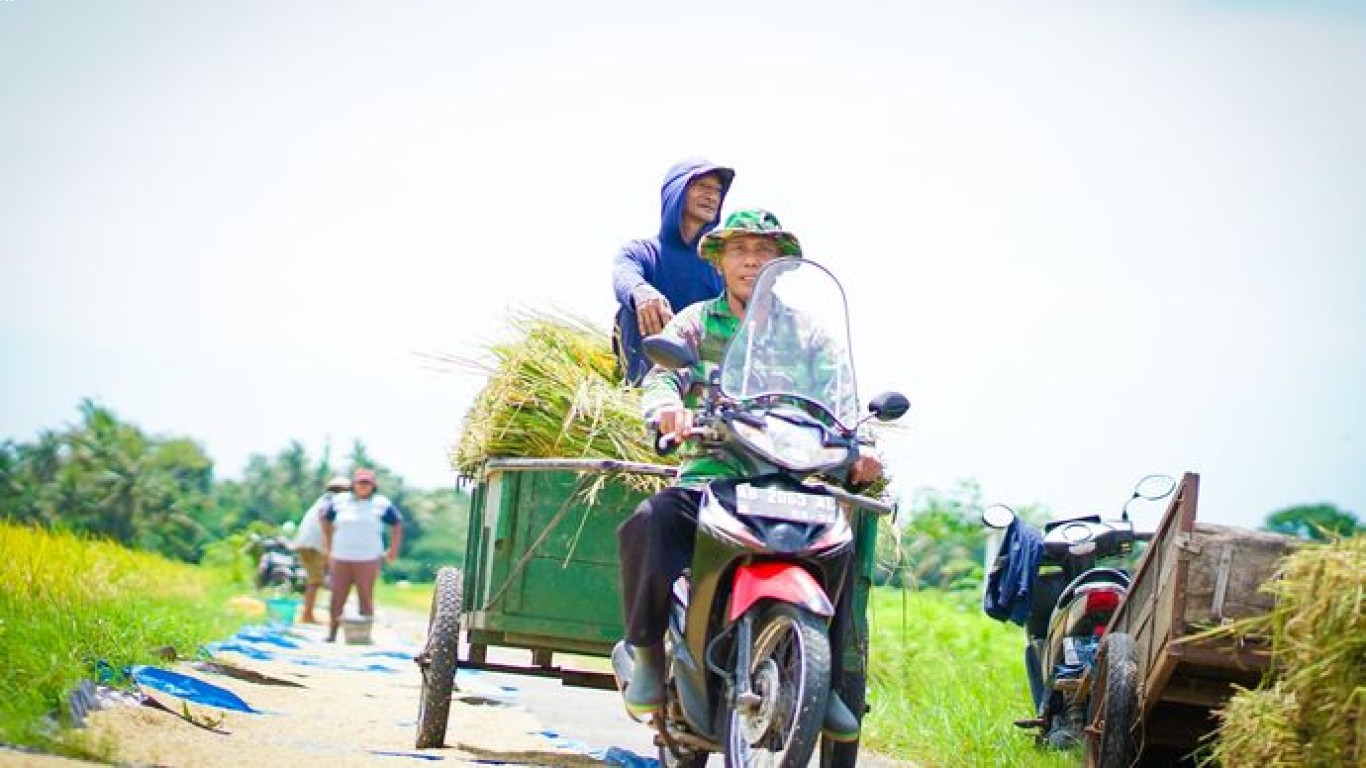 Ketahanan pangan dan peran kopi saat krisis global 2025