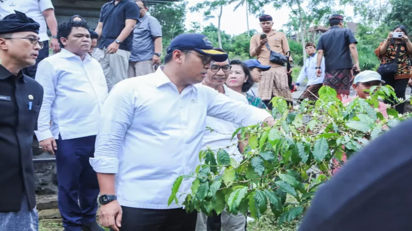Kopi Lokal Indonesia dan Gerakan Petani Mandiri
