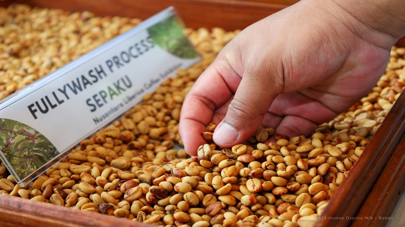 Kopi sebagai komoditas penting dalam analisa perang september 2025