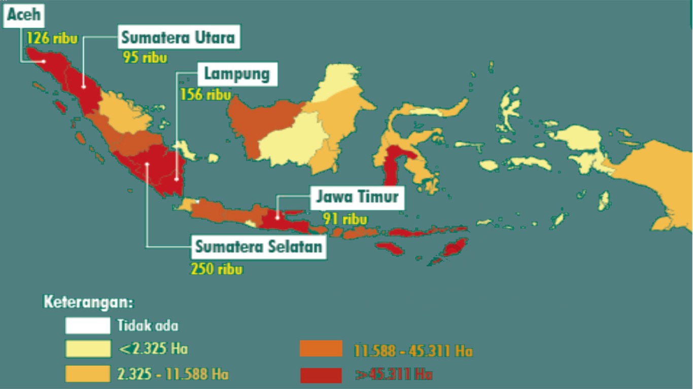 Tantangan industri kopi lokal di Indonesia di era modern