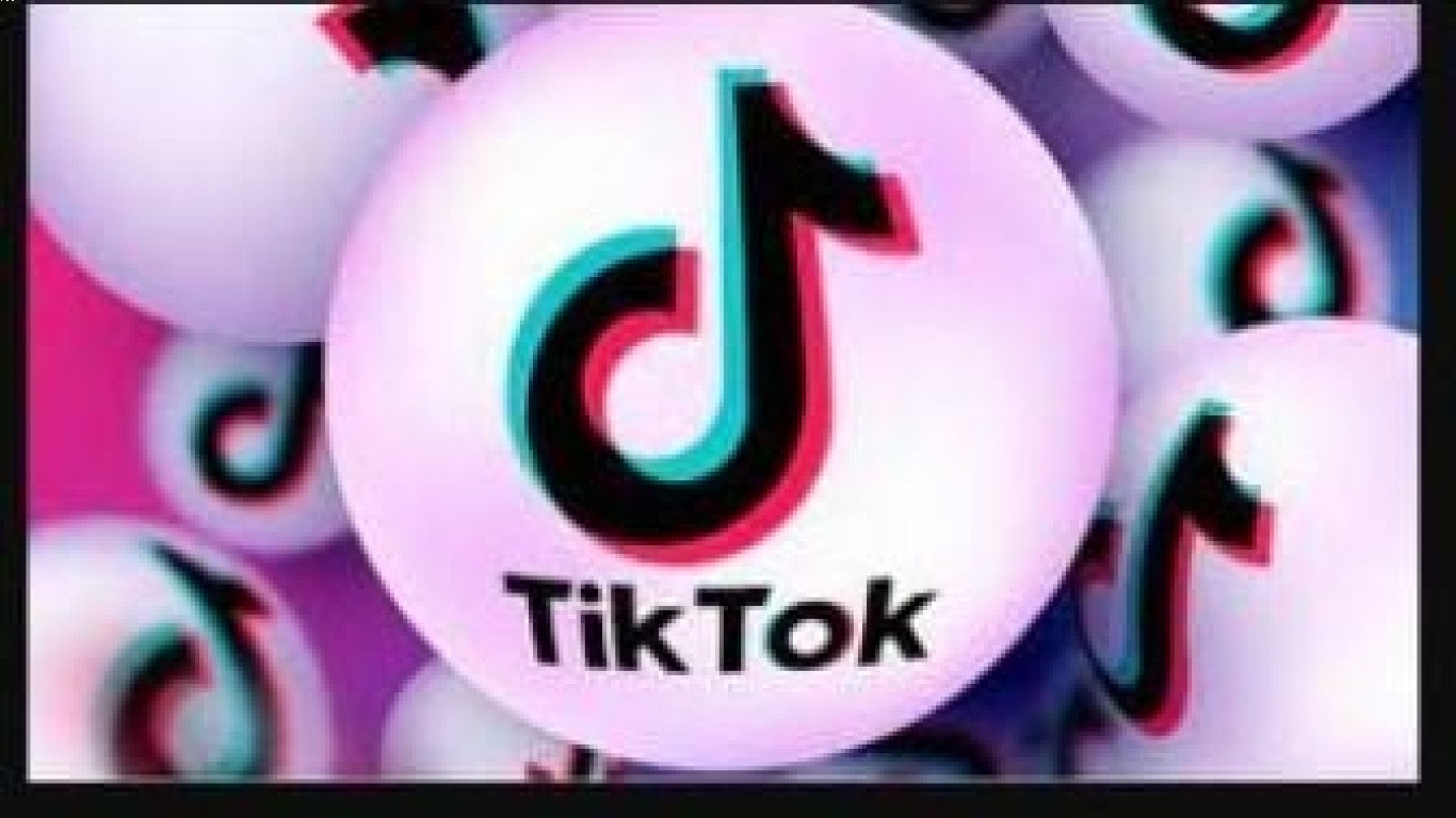 BioLink Tiktok untuk membangun personal branding