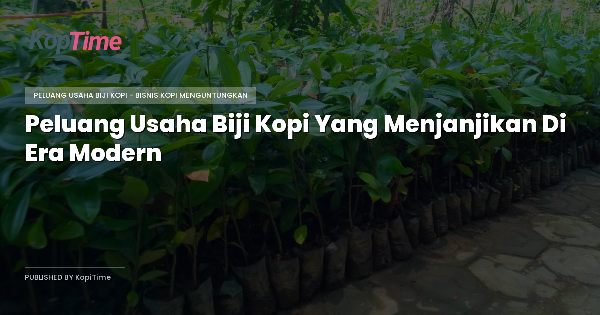 Peluang Usaha Biji Kopi Yang Menjanjikan Di Era Modern