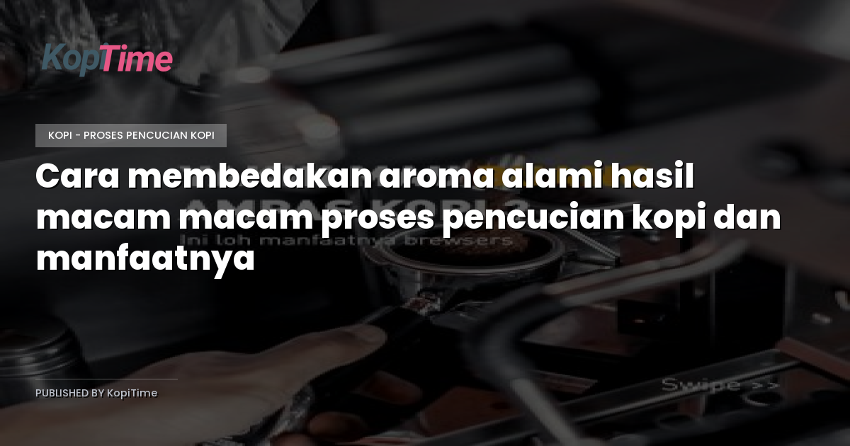 Cara membedakan aroma alami hasil macam macam proses pencucian kopi dan manfaatnya