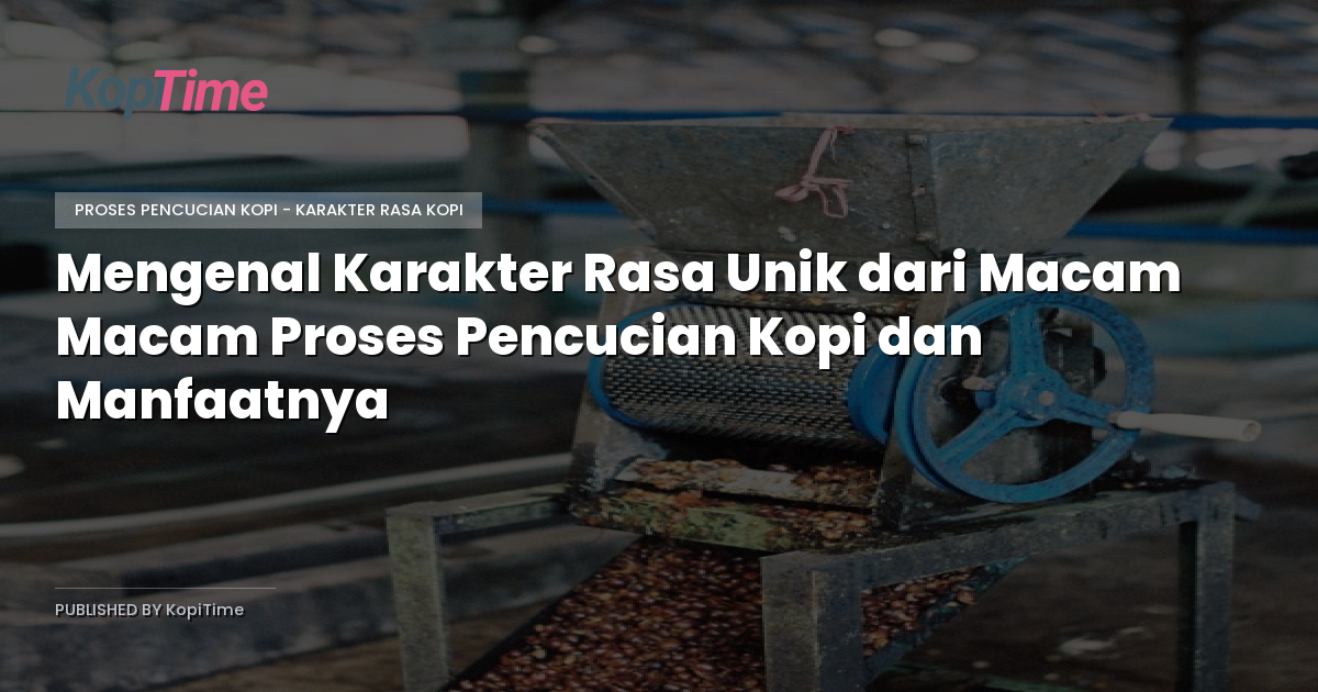 Mengenal Karakter Rasa Unik dari Macam Macam Proses Pencucian Kopi dan Manfaatnya