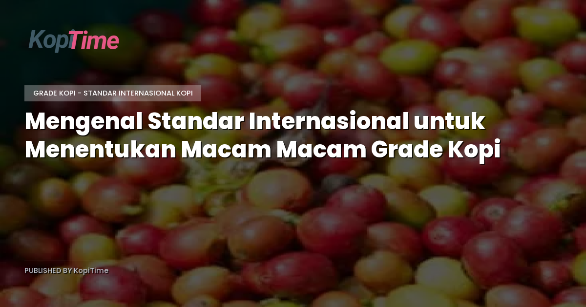 Mengenal Standar Internasional untuk Menentukan Macam Macam Grade Kopi