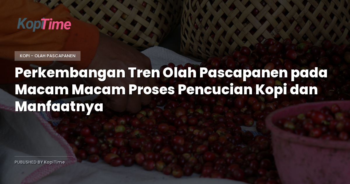 Perkembangan Tren Olah Pascapanen pada Macam Macam Proses Pencucian Kopi dan Manfaatnya