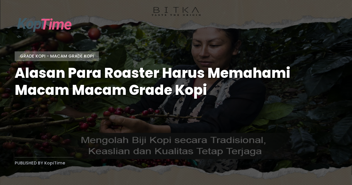 Alasan Para Roaster Harus Memahami Macam Macam Grade Kopi