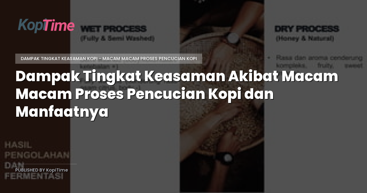 Dampak Tingkat Keasaman Akibat Macam Macam Proses Pencucian Kopi dan Manfaatnya