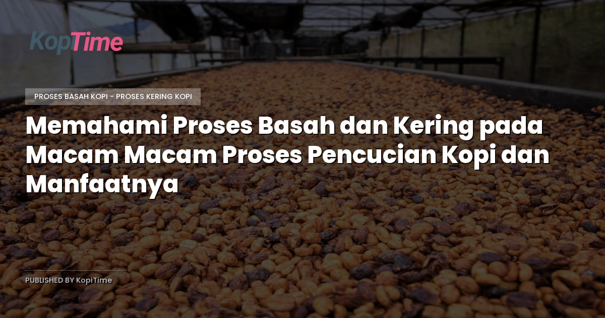 Memahami Proses Basah dan Kering pada Macam Macam Proses Pencucian Kopi dan Manfaatnya