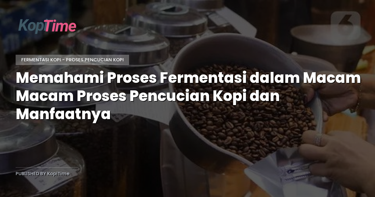 Memahami Proses Fermentasi dalam Macam Macam Proses Pencucian Kopi dan Manfaatnya