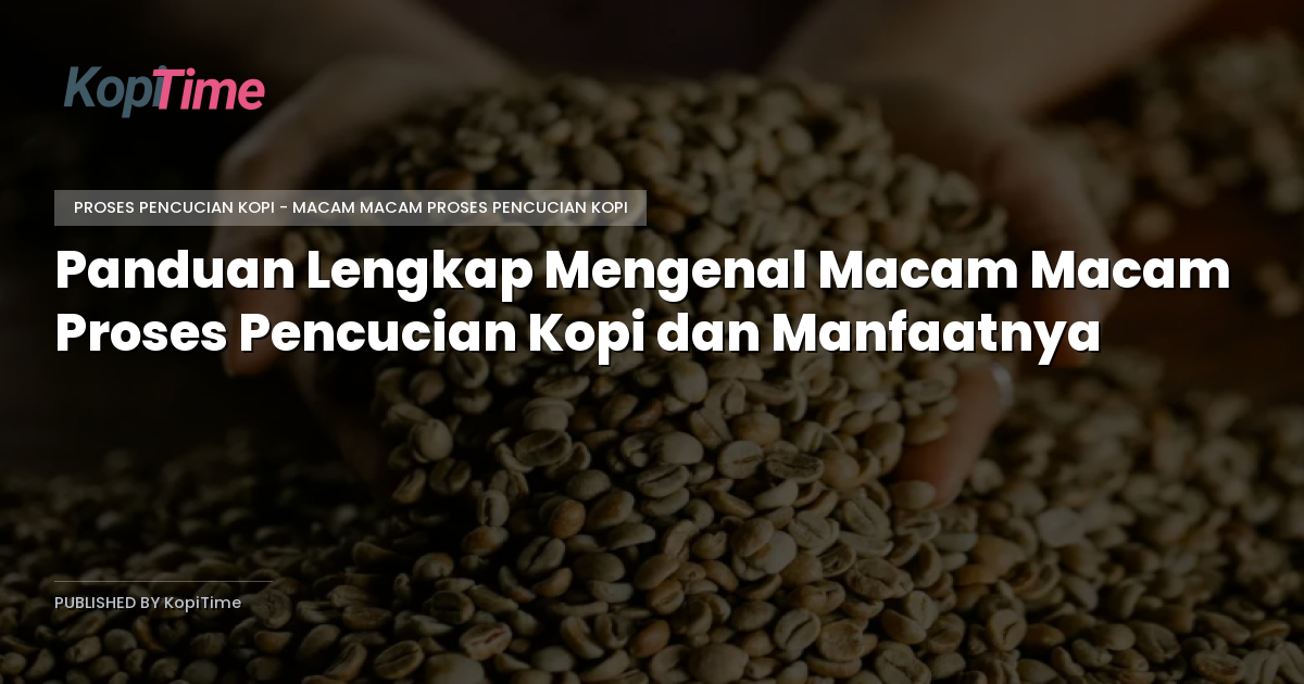 Panduan Lengkap Mengenal Macam Macam Proses Pencucian Kopi dan Manfaatnya