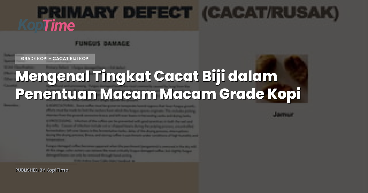 Mengenal Tingkat Cacat Biji dalam Penentuan Macam Macam Grade Kopi