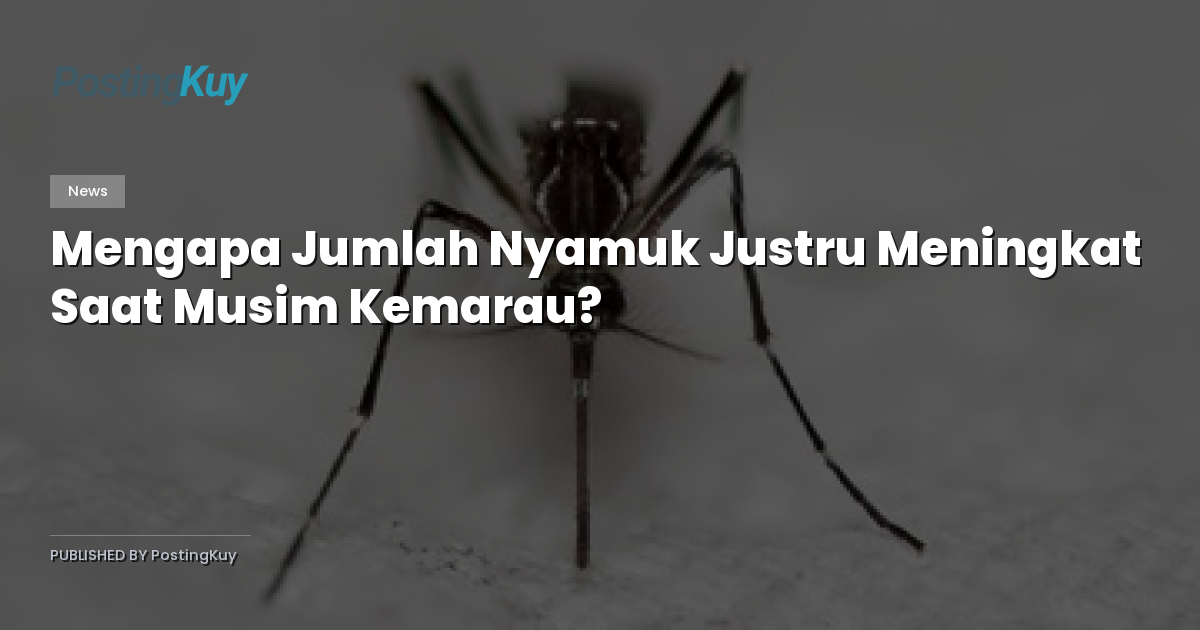 Mengapa Jumlah Nyamuk Justru Meningkat Saat Musim Kemarau?