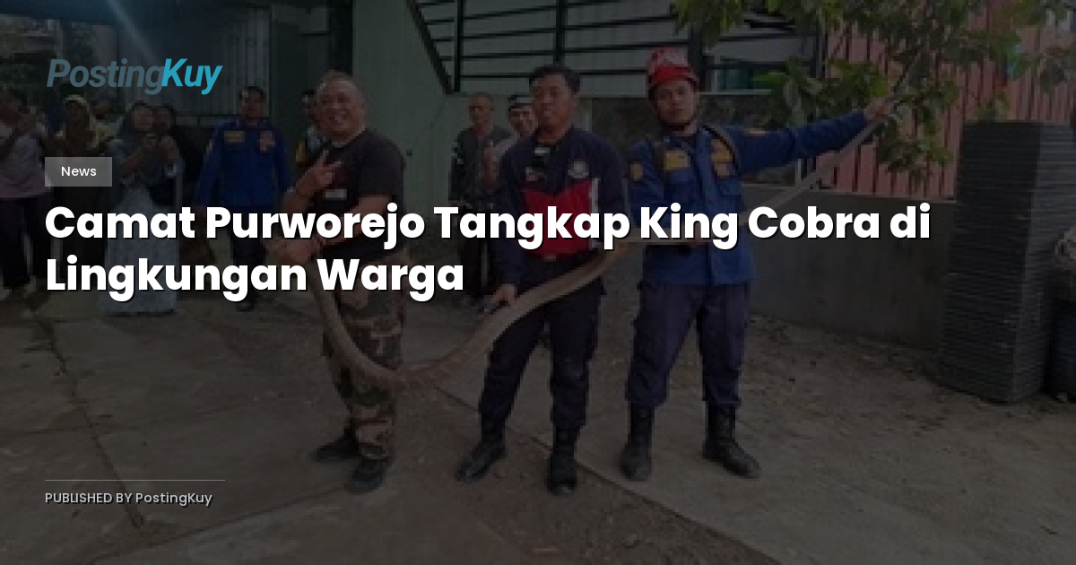 Camat Purworejo Tangkap King Cobra di Lingkungan Warga