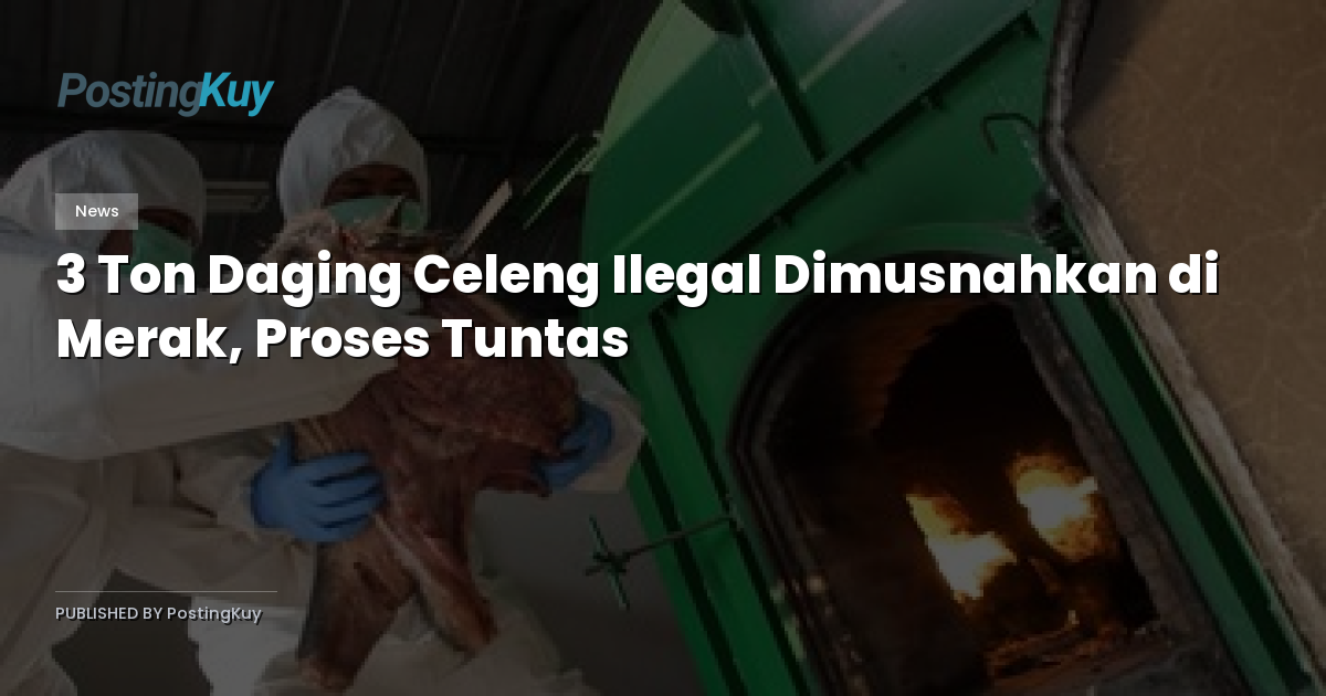 3 Ton Daging Celeng Ilegal Dimusnahkan di Merak, Proses Tuntas