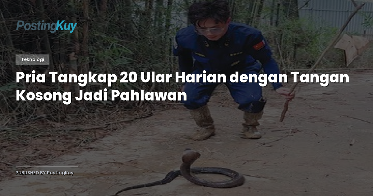 Pria Tangkap 20 Ular Harian dengan Tangan Kosong Jadi Pahlawan
