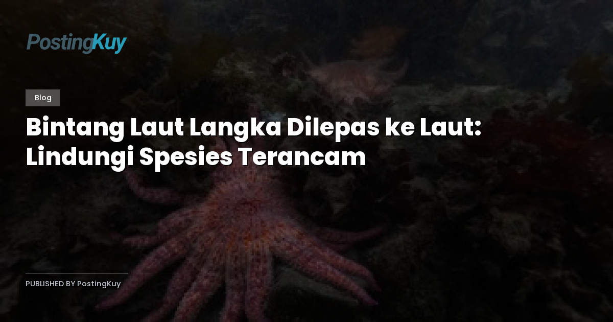 Bintang Laut Langka Dilepas ke Laut: Lindungi Spesies Terancam