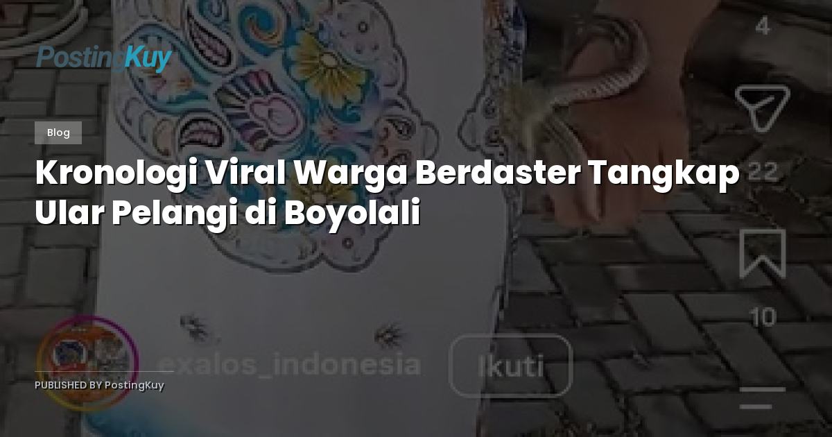 Kronologi Viral Warga Berdaster Tangkap Ular Pelangi di Boyolali