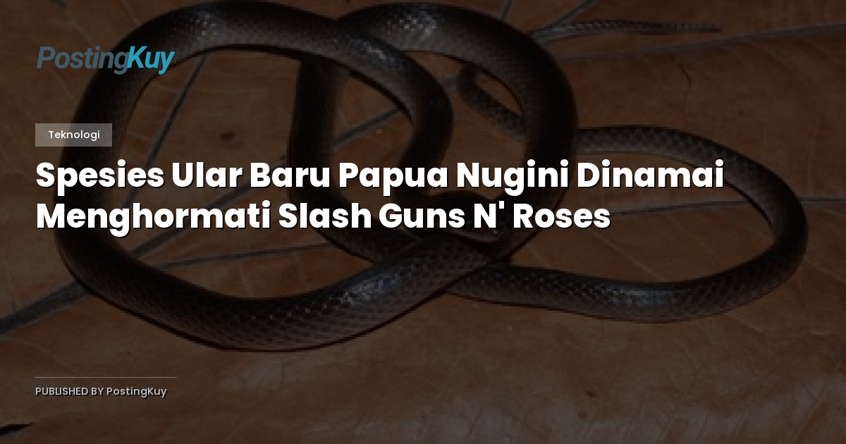 Spesies Ular Baru Papua Nugini Dinamai Menghormati Slash Guns N' Roses