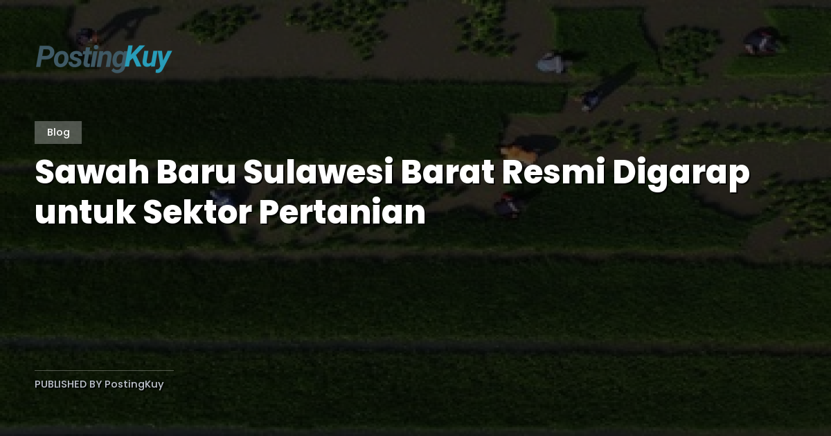 Sawah Baru Sulawesi Barat Resmi Digarap untuk Sektor Pertanian