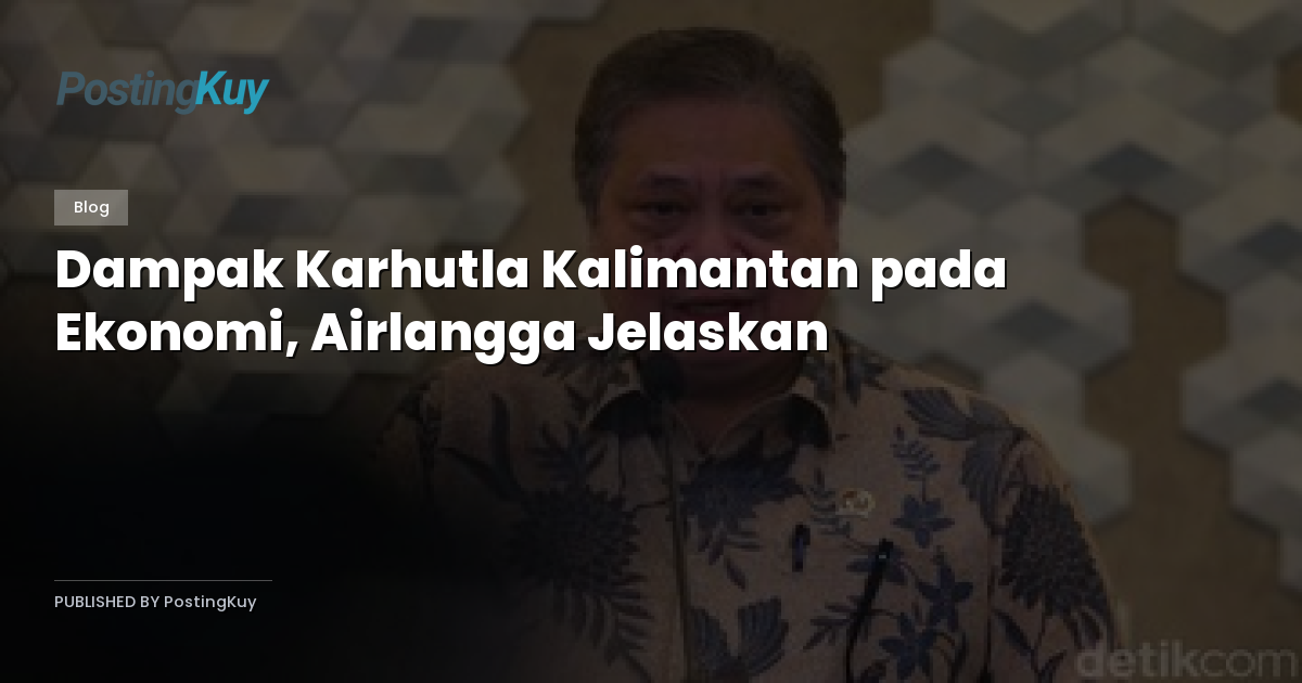 Dampak Karhutla Kalimantan pada Ekonomi, Airlangga Jelaskan