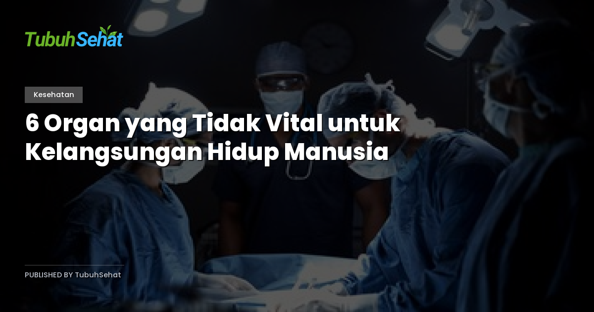 6 Organ yang Tidak Vital untuk Kelangsungan Hidup Manusia