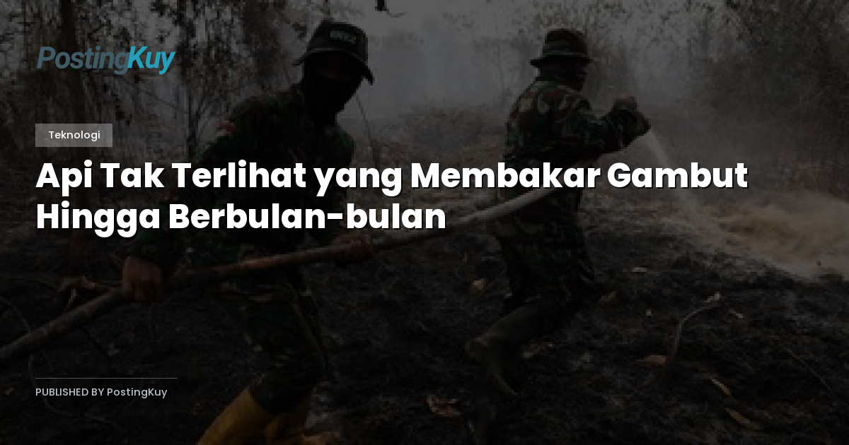 Api Tak Terlihat yang Membakar Gambut Hingga Berbulan-bulan