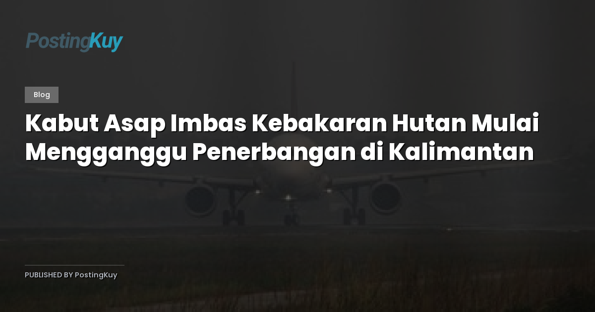 Kabut Asap Imbas Kebakaran Hutan Mulai Mengganggu Penerbangan di Kalimantan