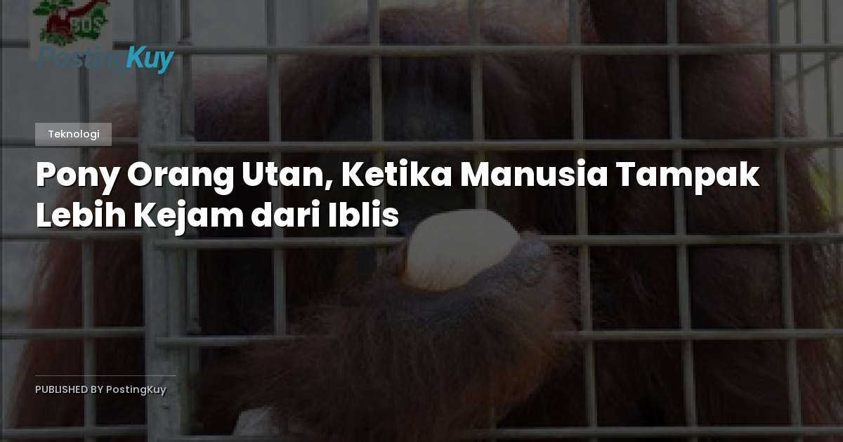 Pony Orang Utan, Ketika Manusia Tampak Lebih Kejam dari Iblis