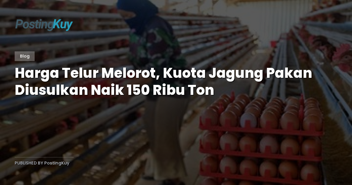 Harga Telur Melorot, Kuota Jagung Pakan Diusulkan Naik 150 Ribu Ton