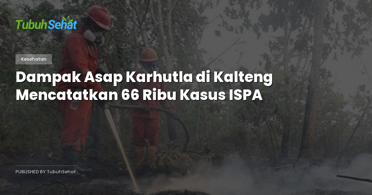 Dampak Asap Karhutla di Kalteng Mencatatkan 66 Ribu Kasus ISPA