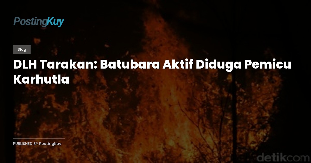 DLH Tarakan: Batubara Aktif Diduga Pemicu Karhutla