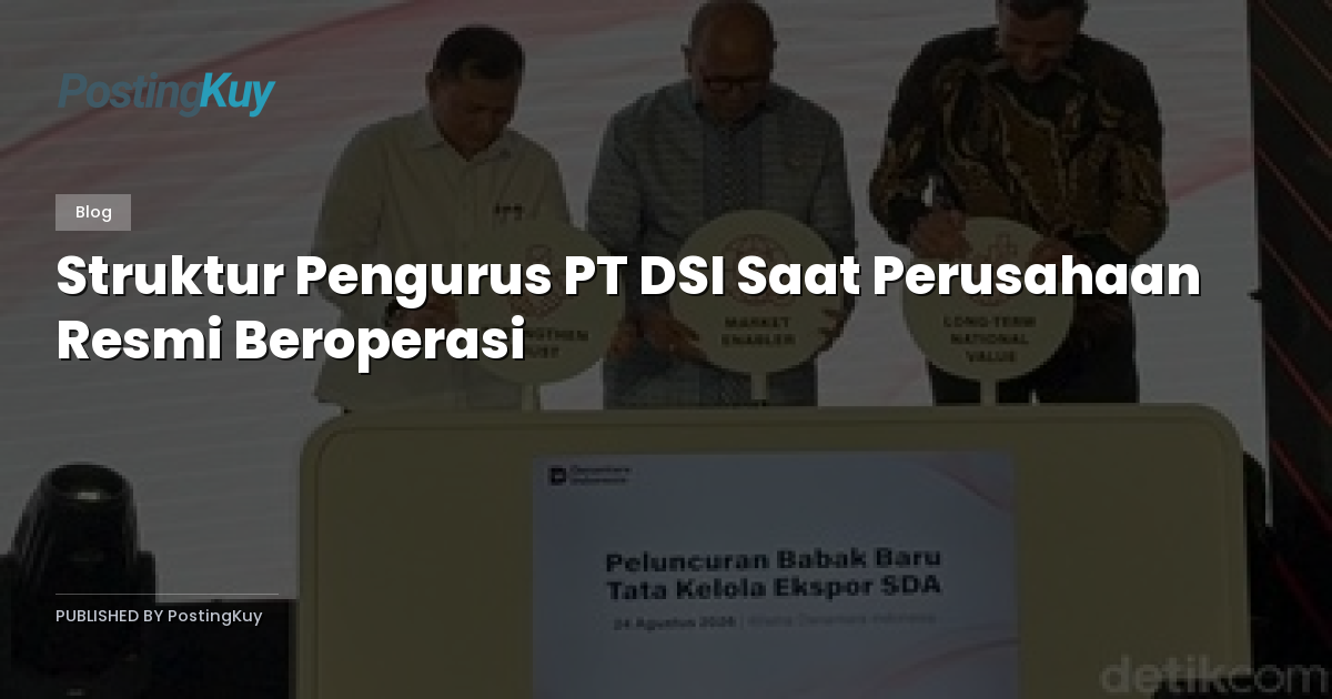 Struktur Pengurus PT DSI Saat Perusahaan Resmi Beroperasi