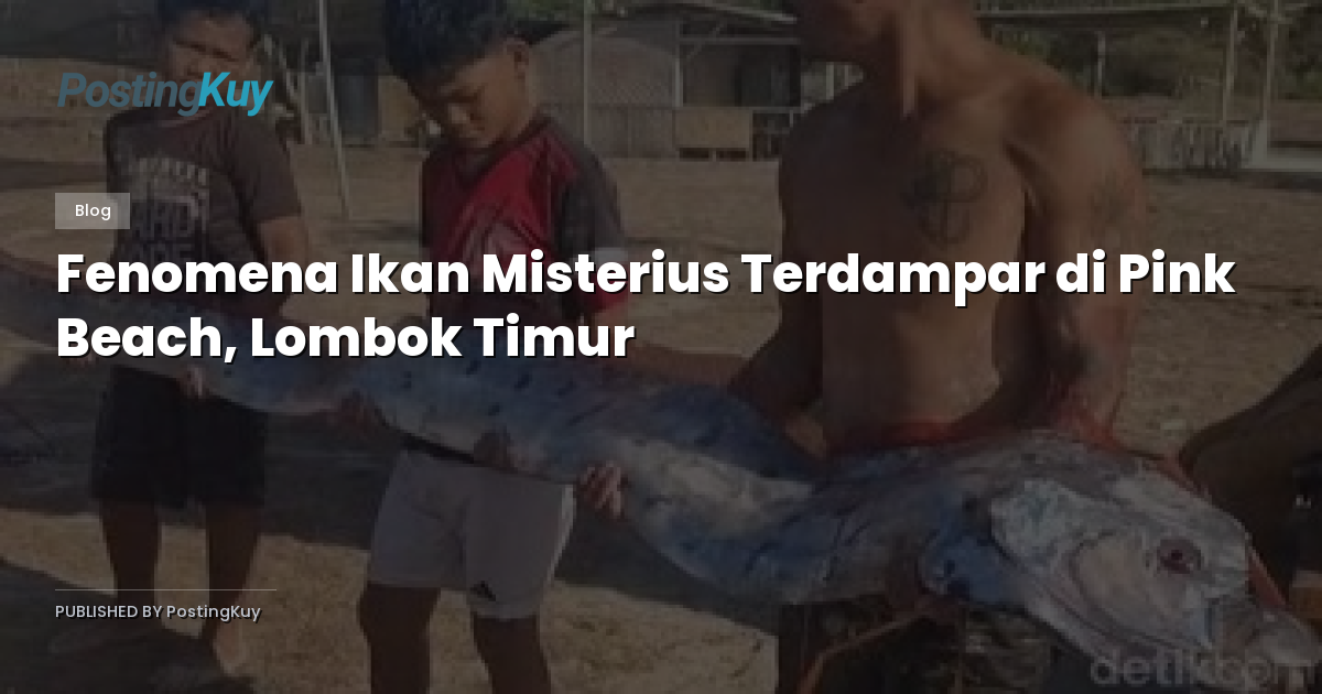 Fenomena Ikan Misterius Terdampar di Pink Beach, Lombok Timur