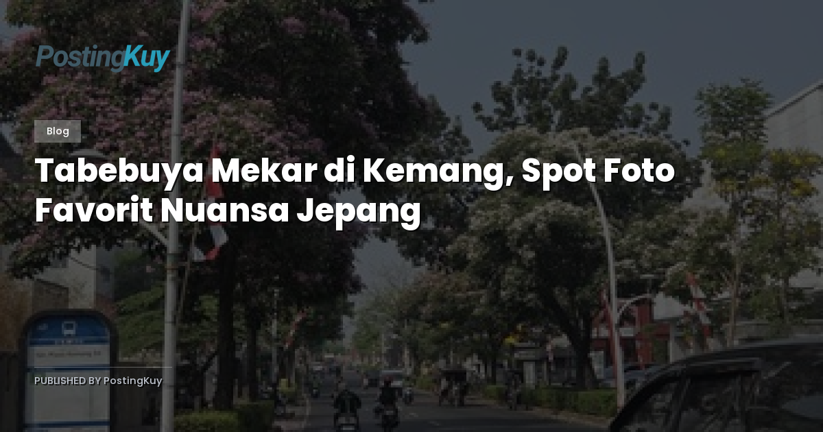 Tabebuya Mekar di Kemang, Spot Foto Favorit Nuansa Jepang