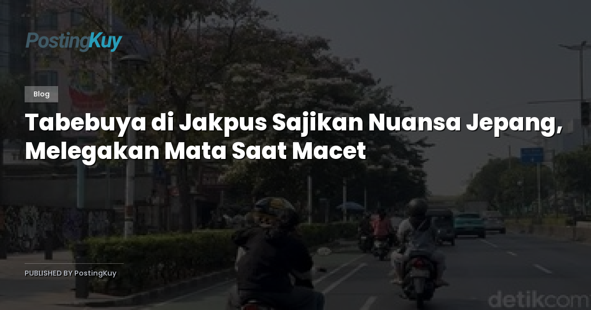 Tabebuya di Jakpus Sajikan Nuansa Jepang, Melegakan Mata Saat Macet