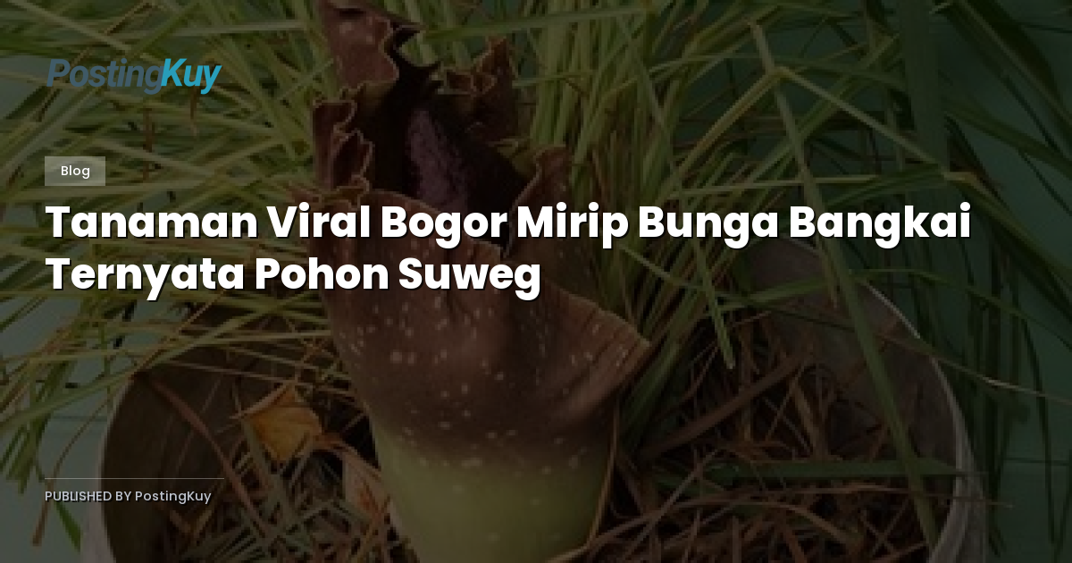 Tanaman Viral Bogor Mirip Bunga Bangkai Ternyata Pohon Suweg