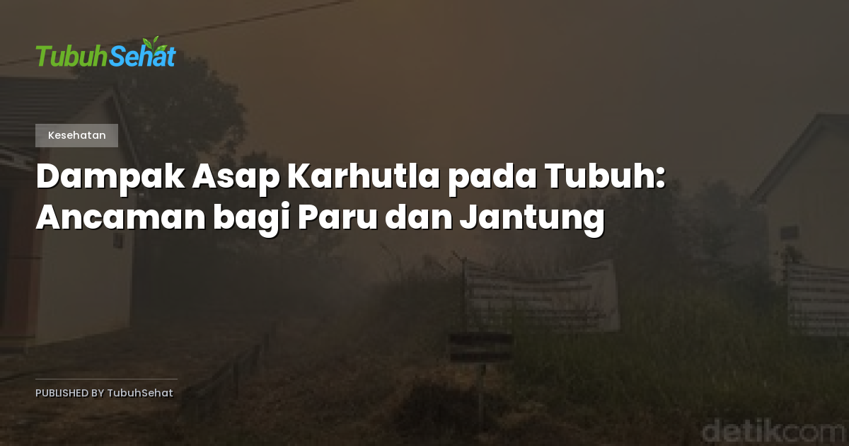 Dampak Asap Karhutla pada Tubuh: Ancaman bagi Paru dan Jantung