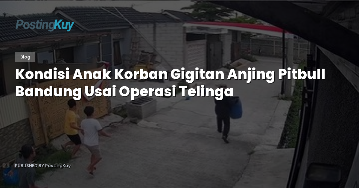 Kondisi Anak Korban Gigitan Anjing Pitbull Bandung Usai Operasi Telinga