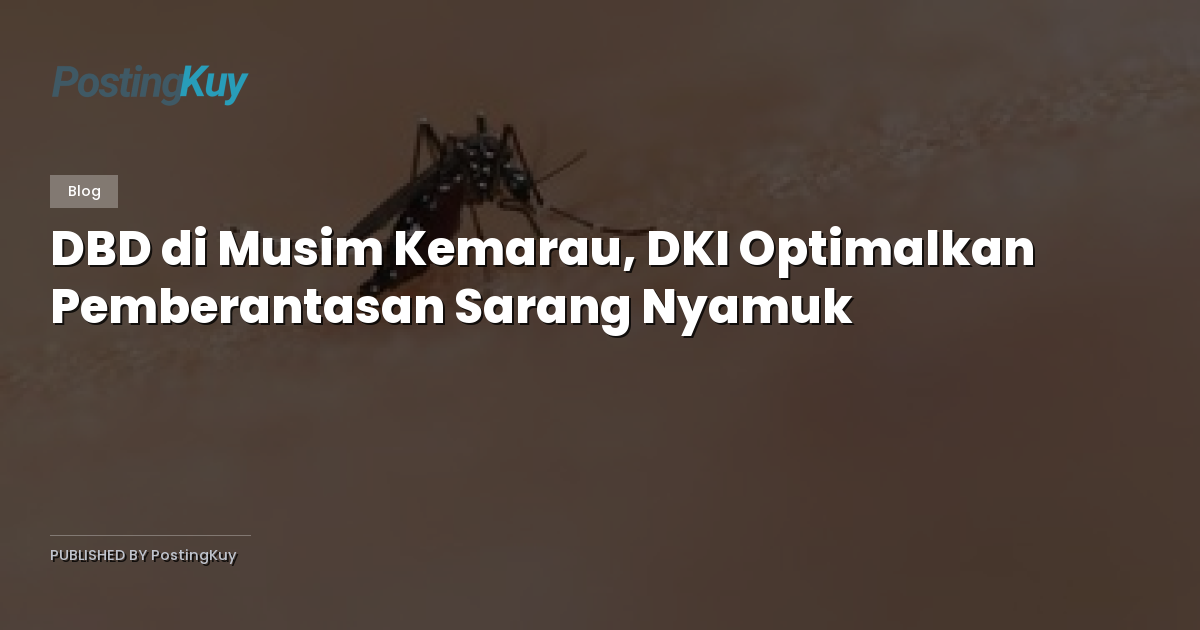 DBD di Musim Kemarau, DKI Optimalkan Pemberantasan Sarang Nyamuk